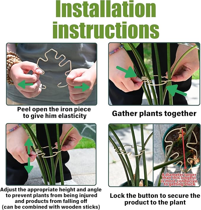 Monstera Plant Stem Support - Image 3
