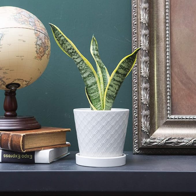 BUYMAX Plant Pots Indoor –5 inch Ceramic Flower Pot - Image 2