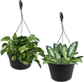10in Euro Hanging Planters for Indoor Plants 2 Pieces 10inch Hanging Planter by J3A+Collections
