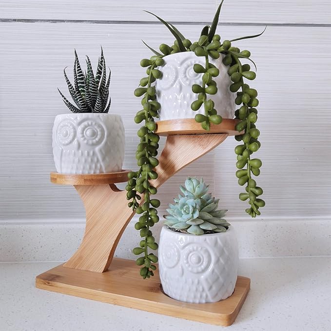 3pcs Owl Succulent Pots with 3 Tier Bamboo Saucers Stand Holder - Image 7