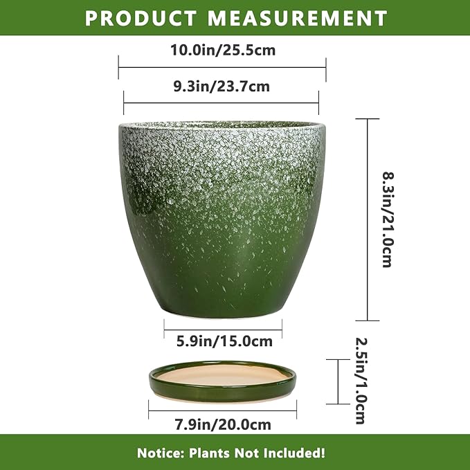 10 Inch Plant Pot - Image 3
