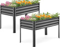 KING BIRD Large Raised Garden Bed by KINGBIRD