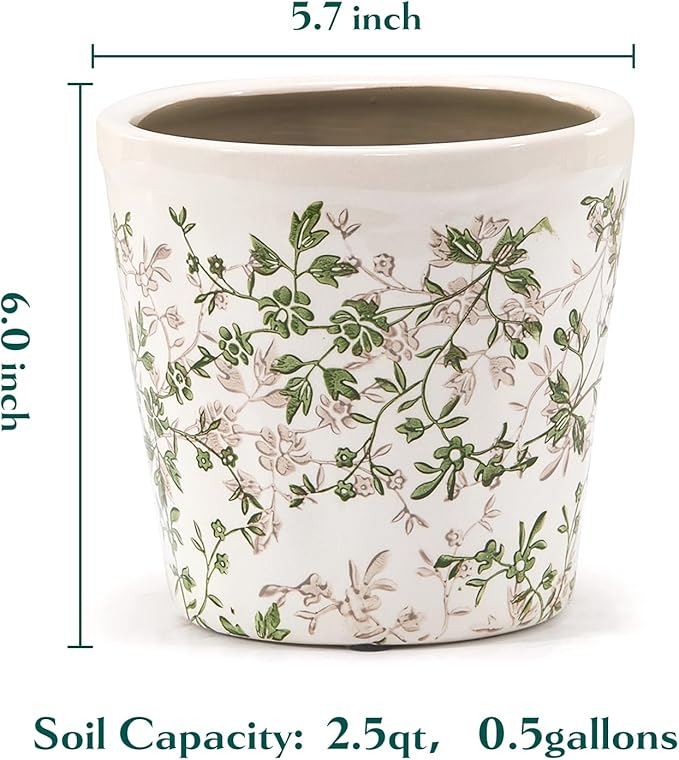 Ceramic Planter with Drainage Hole, Plastic Tray & Mesh, 6 Inch - Image 5