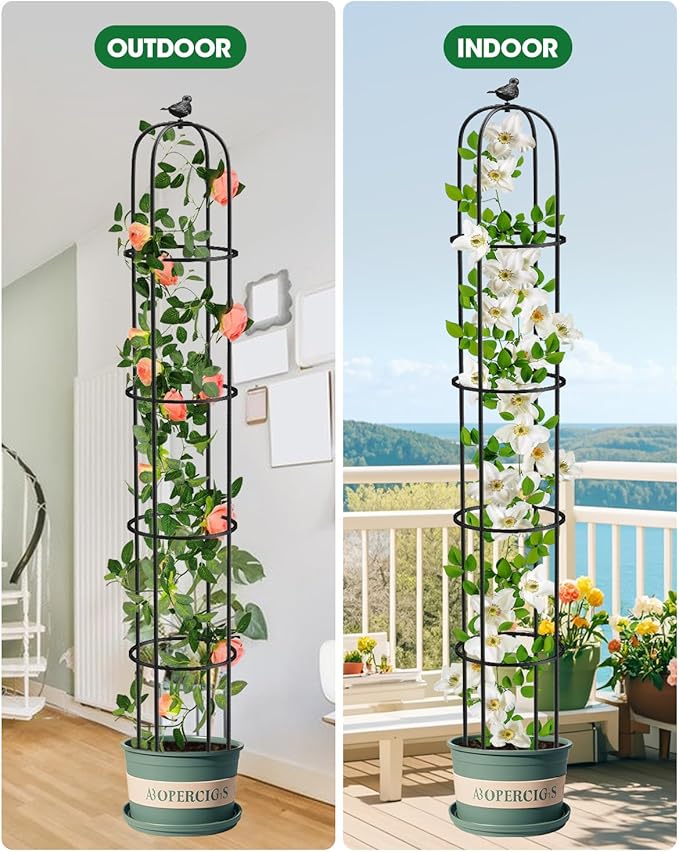6.2ft Garden Obelisk Trellis for Climbing Plants Rustproof Metal Pipe - Image 7