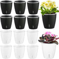Self Watering Pots for Indoor Plants, Small African Violet Pots by KvyusFlourish