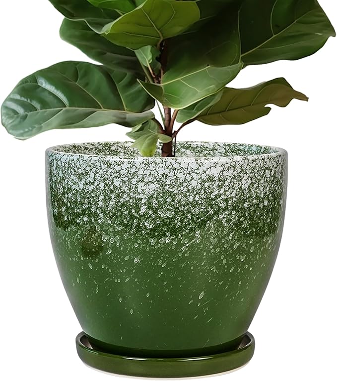 10 Inch Plant Pot by EPFamily
