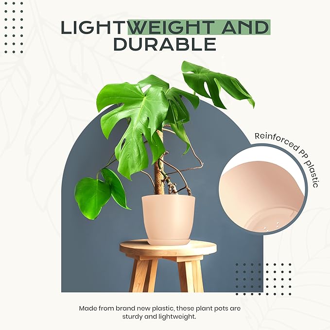 Utopia Home - Plant Pots Indoor - 7/6.6/6/5.3/4.8 Inches Home Decor Flower Pots - Image 6