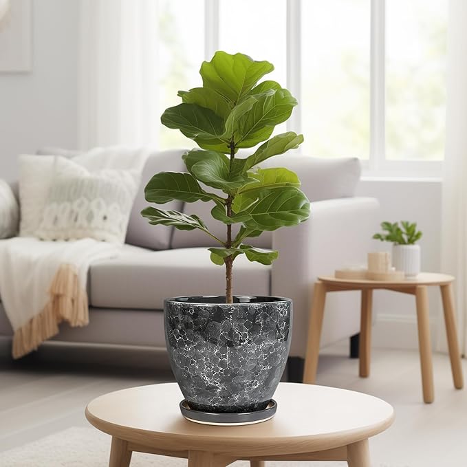 Ceraimc Planter - Image 7