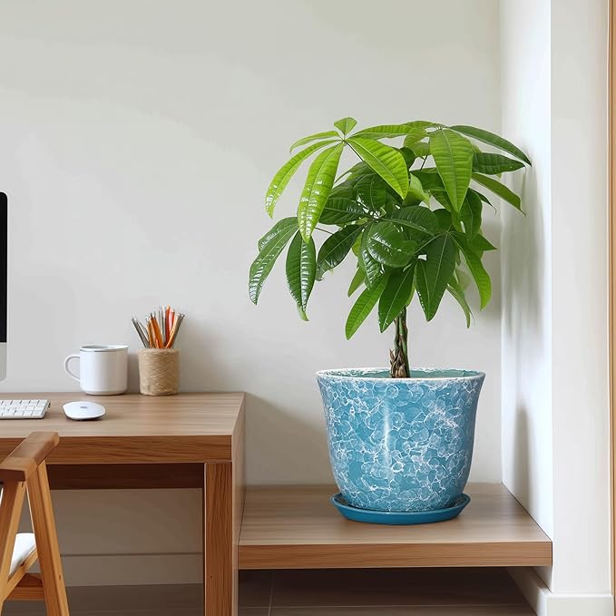 Ceramic Planter - Image 7