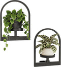 Bamworld Plant Stand Indoor, Plant Hanger Wall Planters by Bamworld