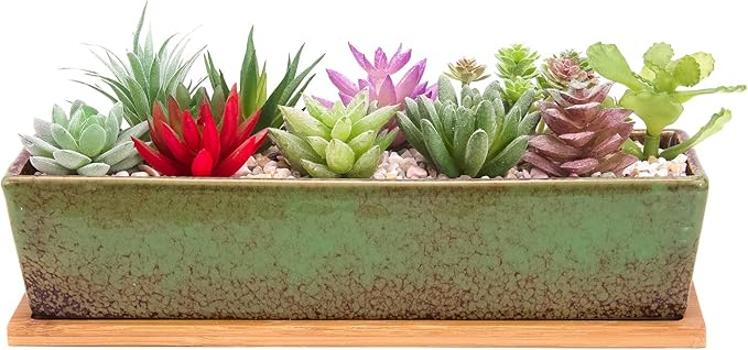 Succulent Pots - Large Succulent Planter Pots by ARTKETTY