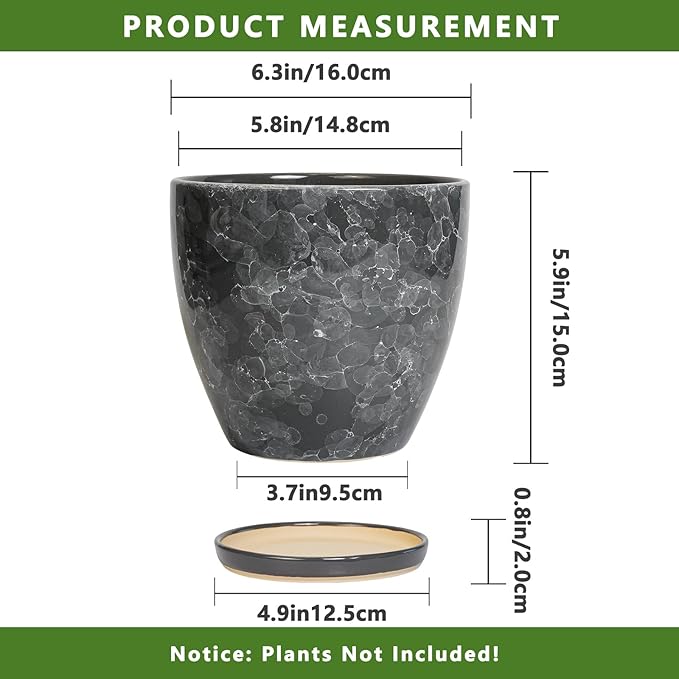 6.3 Inch Plant Pot - Image 3