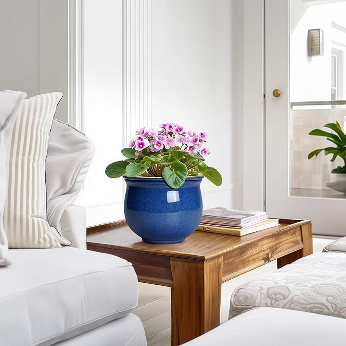 6 Inch Self Watering Pots, Ceramic African Violet Planter - Image 6