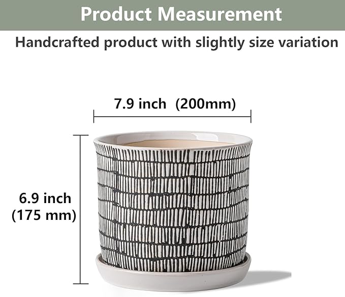 8 Inch Plant Pot: Ceramic Planter - Image 2