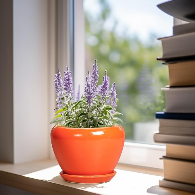 Ceramic Plant Pot 6 Inch - Image 2