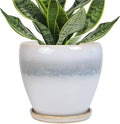 6.3 Inch Plant Pot by EPFamily