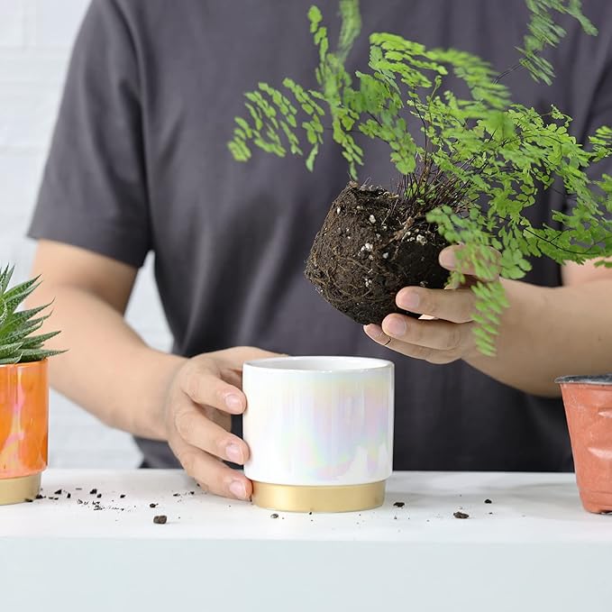 Gepege Succulent Pots for Plants, Succulent Planter - Image 6