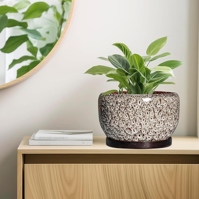 SQOWL Ceramic Plant Pots - Image 6
