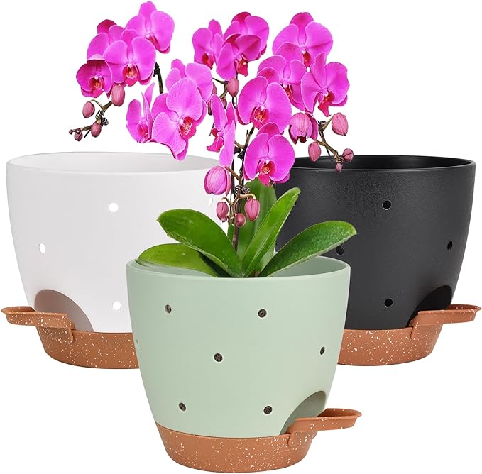 6 Inch Orchid Pots with Holes, 3 Pack Self Watering Planters by Vanslogreen