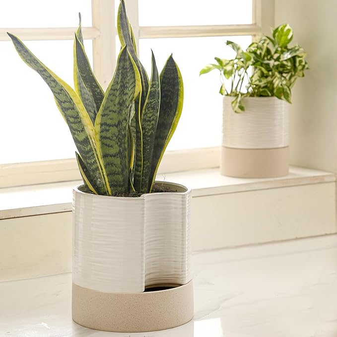 Nihow Self Watering Plant Pot: 8 Inch Ceramic Planter - Image 6