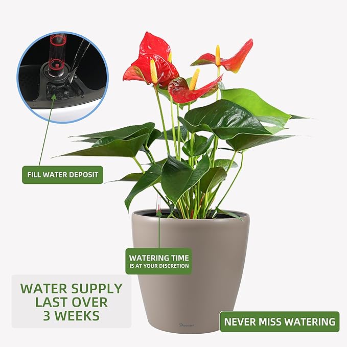 Dexceder 15x14 Self Watering Planter - Image 5