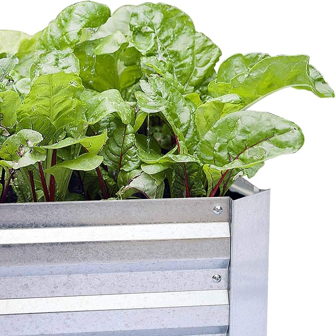 Galvanized Raised Garden Beds for Vegetables Large Metal Planter Box Steel Kit - Image 8