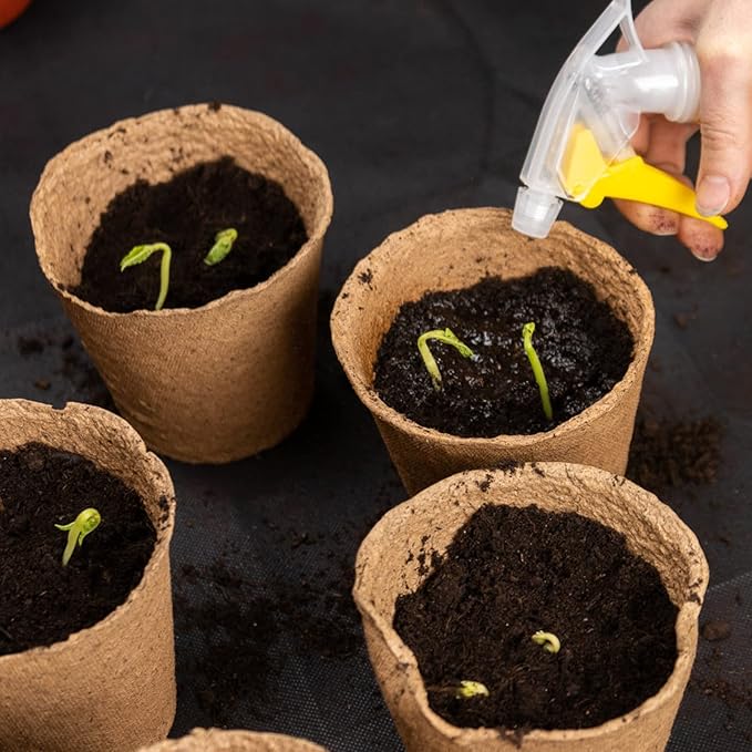 40Pcs 3.15 Inch Peat Pots, Biodegradable Eco-Friendly Round Plant Seedling - Image 7