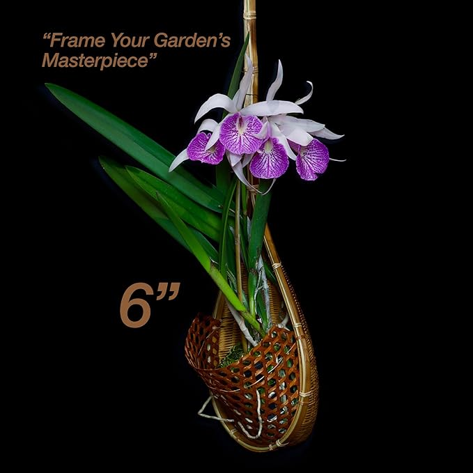 Handmade 100% Thai Bamboo Super Sanctuary Hanging Orchid Basket - Image 3