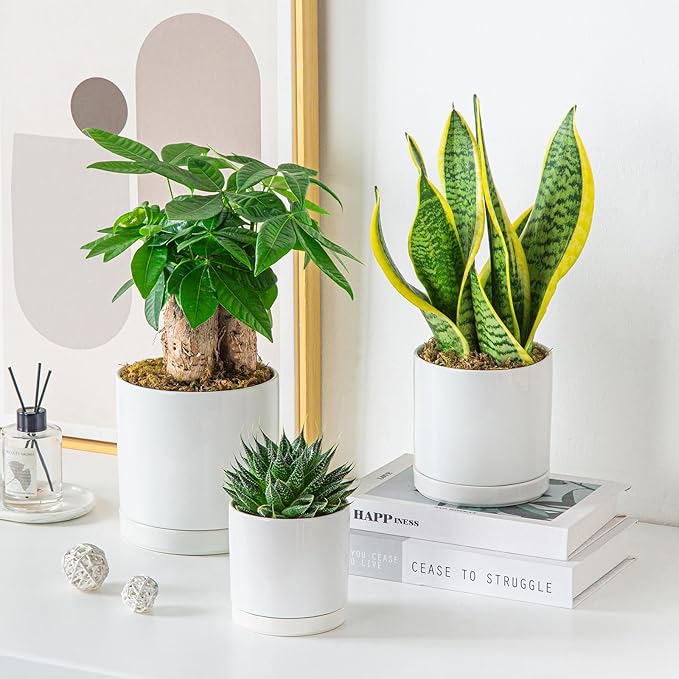 vancasso Ceramic Plant Pots, 3 Piece Planters - Image 9