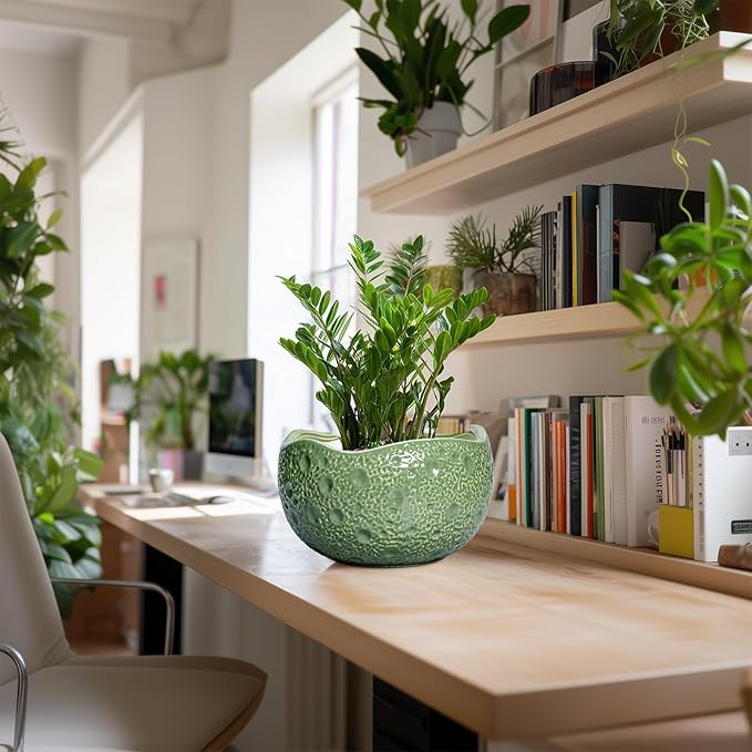 Ceramic Pots for Plants - Image 5