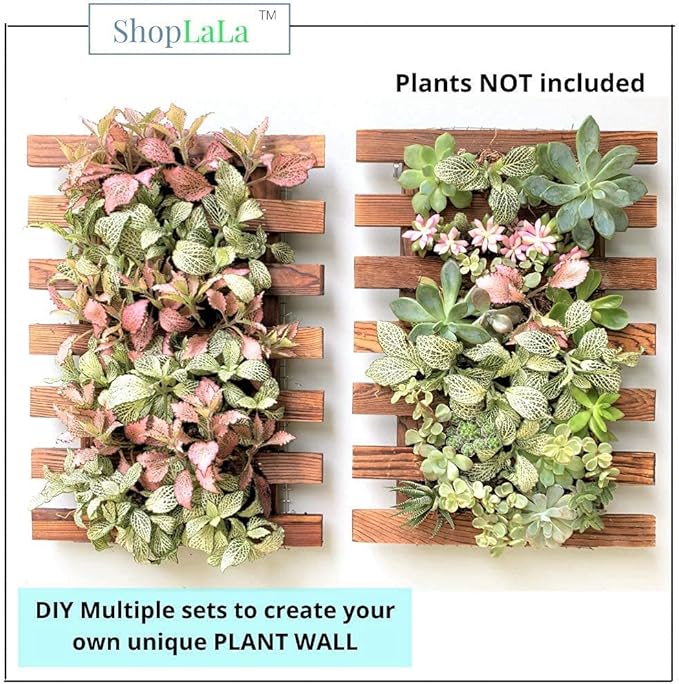 ShopLaLa Wall Planter - Image 4