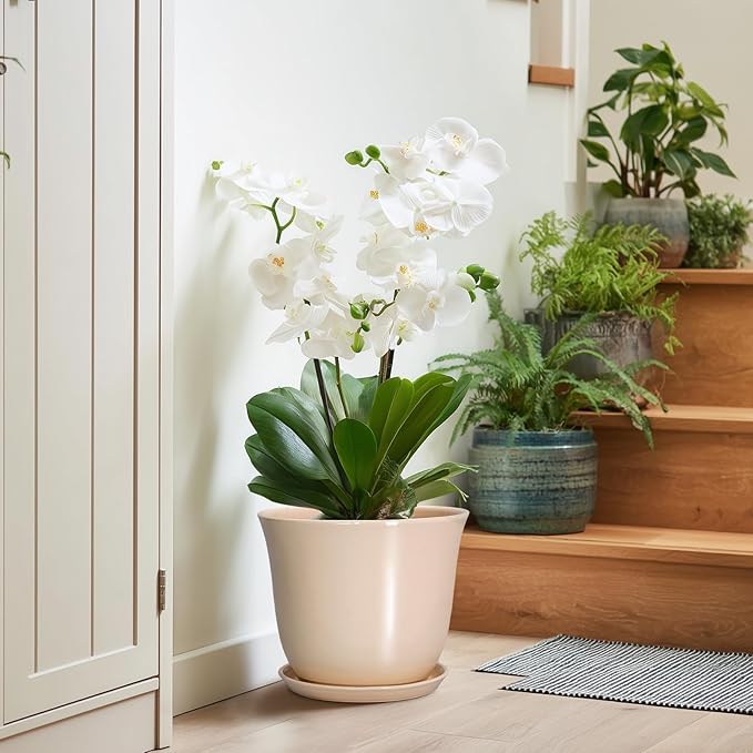 Ceramic Planter - Image 6