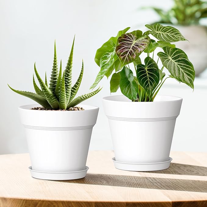 5 Inch Plastic Plant Pots with Drainage Holes and Trays – 6 Pack Small Nursery - Image 6