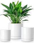 vancasso Ceramic Plant Pots, 3 Piece Planters by vancasso