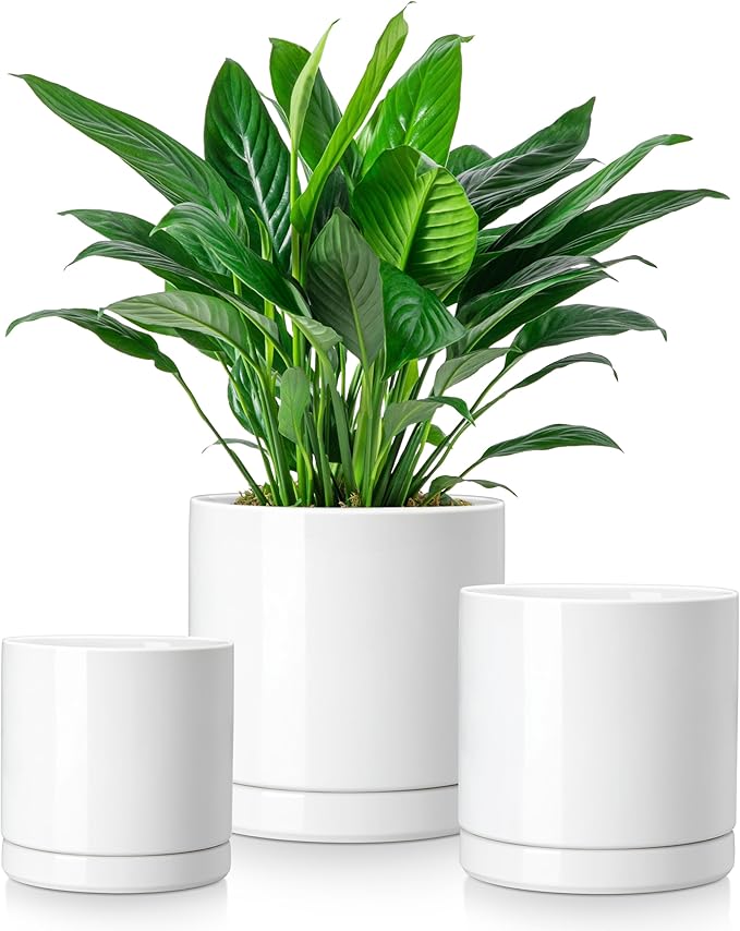 vancasso Ceramic Plant Pots, 3 Piece Planters by vancasso
