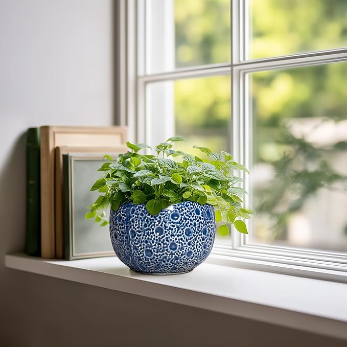 Orchid Pot - 6 Inch Ceramic Plant Pot - Image 3