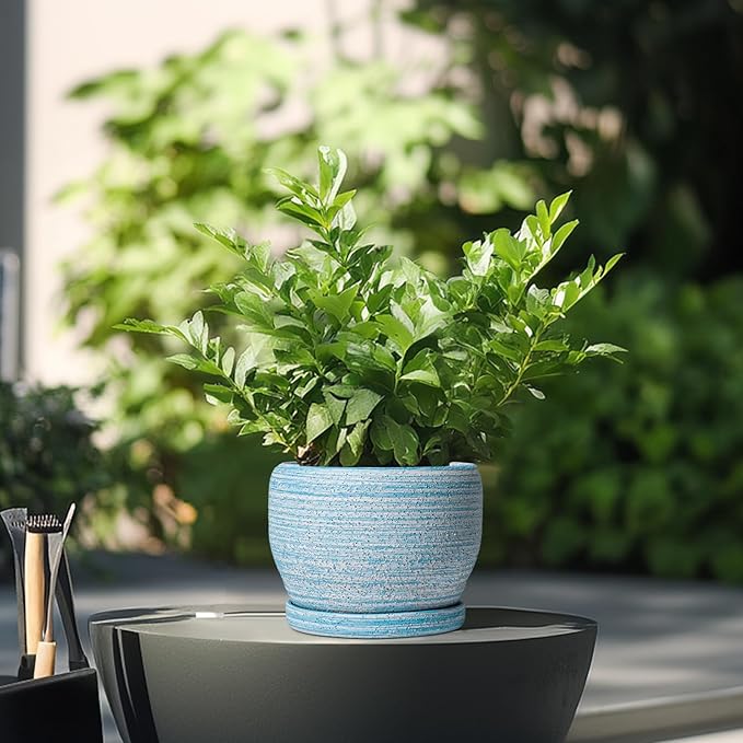 SQOWL Ceramic Planters for Indoor Plants - Image 4