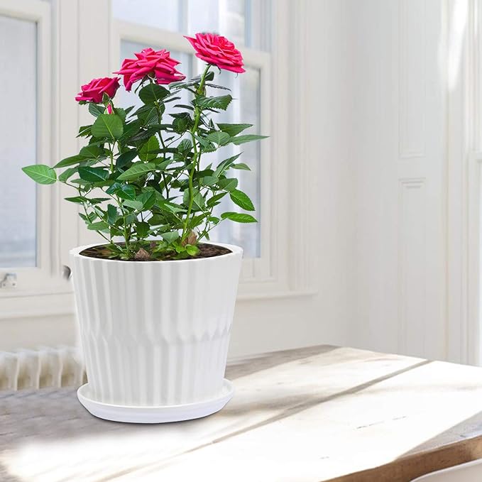 Plant Pots - 6.7 Inch Cylinder Ceramic Planters - Image 6