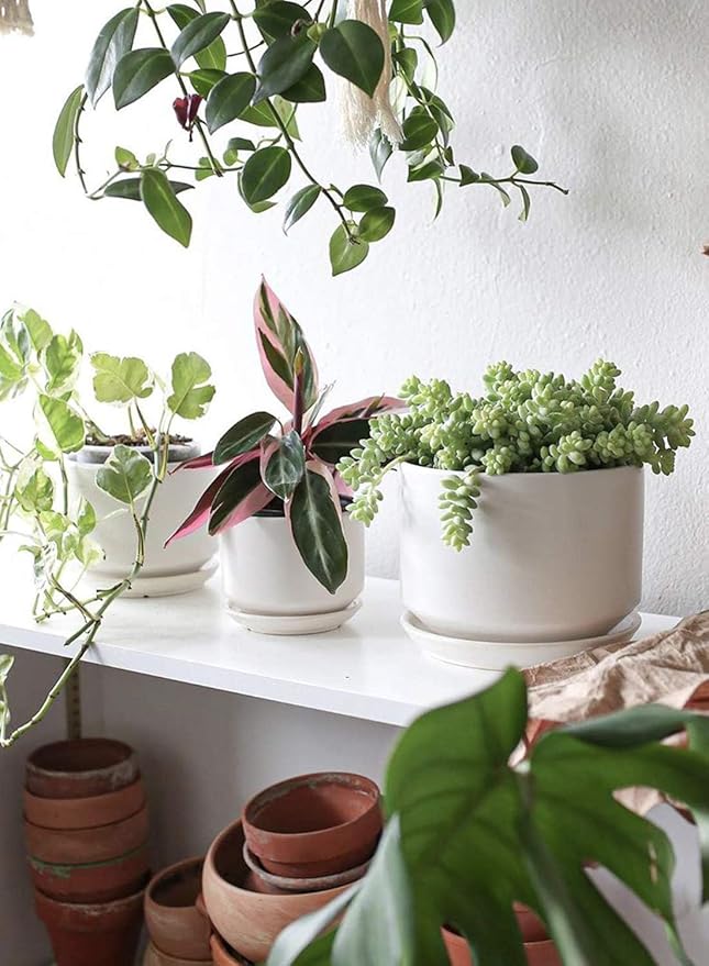 LE TAUCI Ceramic Plant Pots, 4.3+5.3+6.8 inch, Planters - Image 3