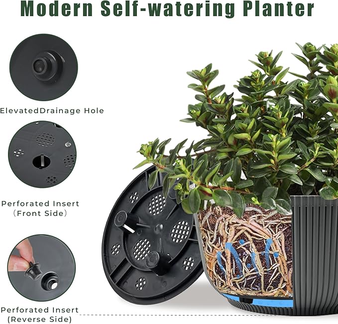 T4U 8 Inch Plant Pots, 2 Pack Self Watering Planter - Image 3