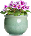 Ceramic Self Watering Pots, 6 Inch African Violet Pots by Teagas