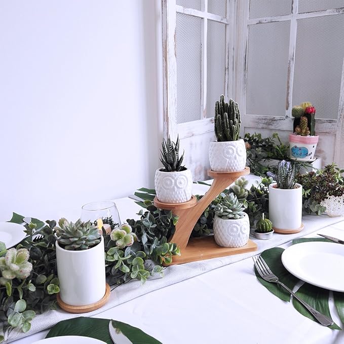 3pcs Owl Succulent Pots with 3 Tier Bamboo Saucers Stand Holder - Image 5