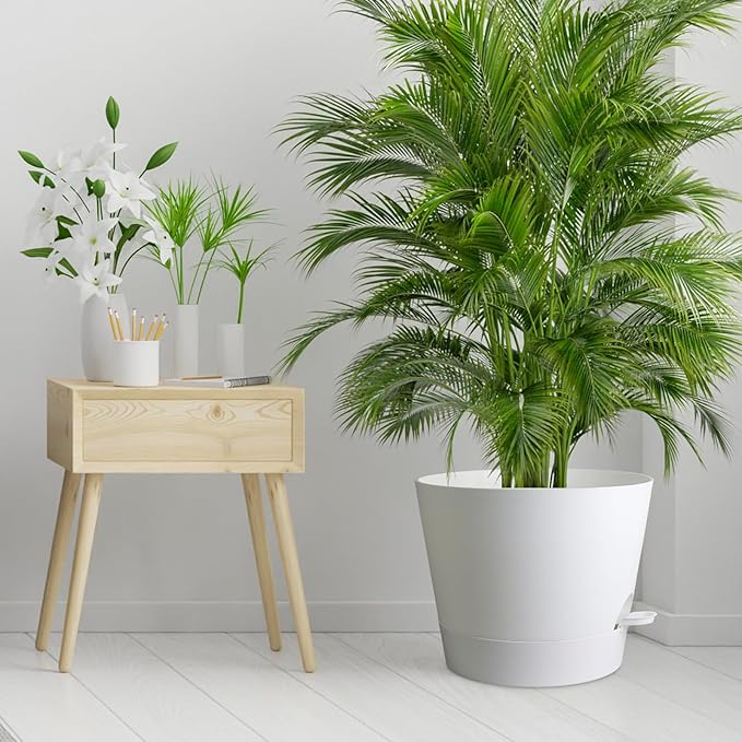12 inch Large Self Watering Pots - Image 7