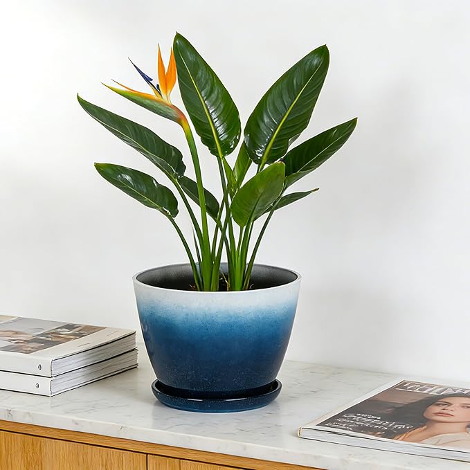 Worth Garden Plastic Round 8" Plant Pots - Image 6