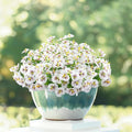 12 Bundles Artificial Pansy Flowers by Griine