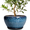 Ceramic Plant Pots 13 Inch by Ceramicfor