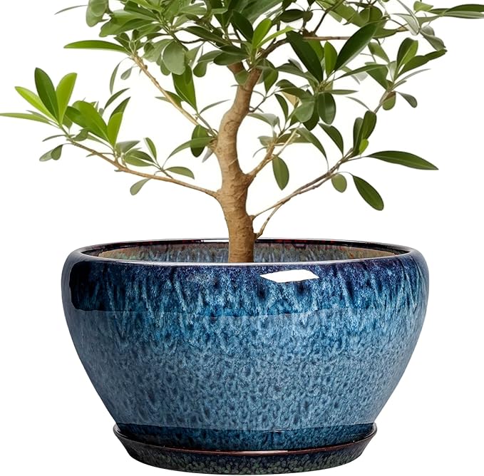 Ceramic Plant Pots 13 Inch by Ceramicfor