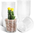 40 Pack 3.3 Inch Clear Nursery Pots by BTPLASTIK