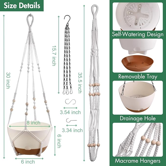 montresor Set of 2-8 Inch Hanging Planters - Image 4