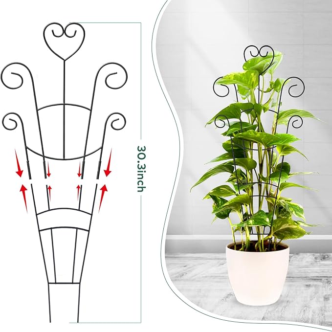 30 Inch Plant Trellis for Climbing Plants Indoor, Outdoor Metal Garden Trellis - Image 2